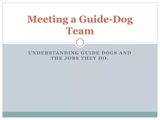 Meeting a Guide-Dog Team