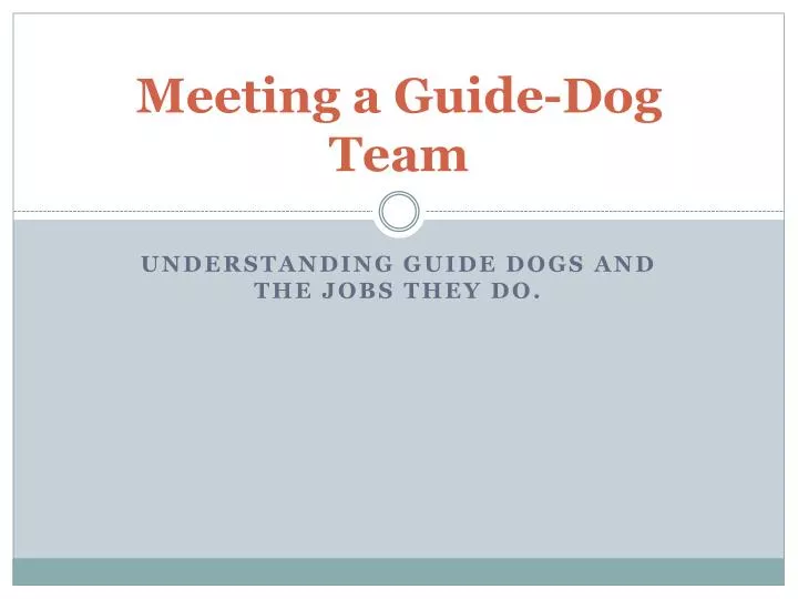 meeting a guide dog team