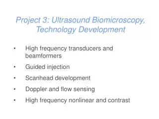 Project 3: Ultrasound Biomicroscopy, Technology Development