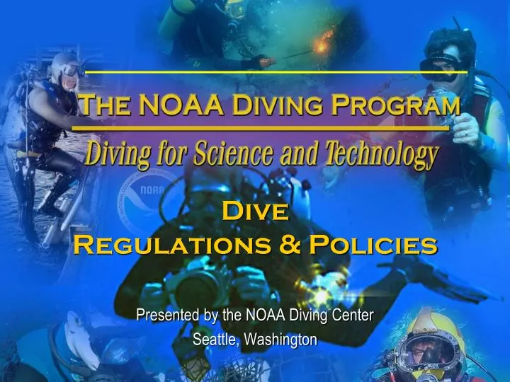 dive regulations policies