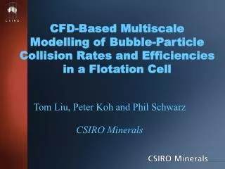 CFD-Based Multiscale Modelling of Bubble-Particle Collision Rates and Efficiencies in a Flotation Cell