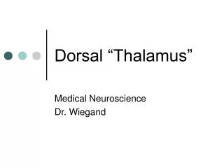 Dorsal “Thalamus”