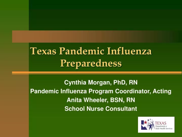 texas pandemic influenza preparedness