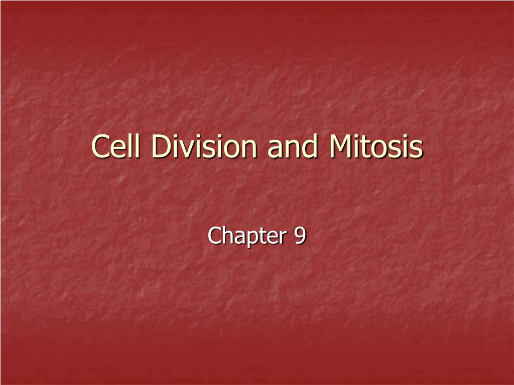 PPT - Cell Division and Mitosis PowerPoint Presentation, free download ...