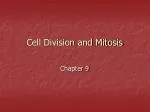 Cell Division and Mitosis - slide 1