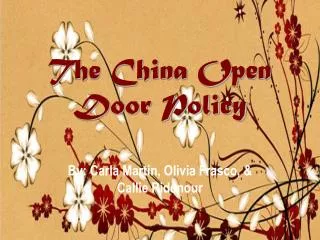 The China Open Door Policy
