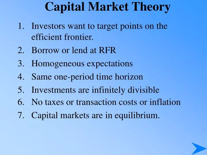 capital market theory