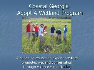 Coastal Georgia Adopt A Wetland Program