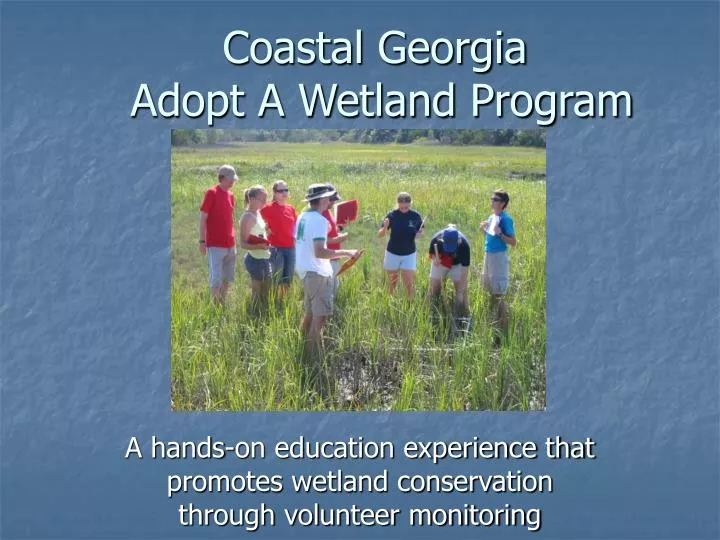 coastal georgia adopt a wetland program