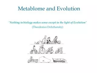 Metablome and Evolution