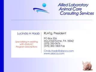 Collaborative work with a trusted, woman-owned consulting company providing exceptional results with a proven track reco
