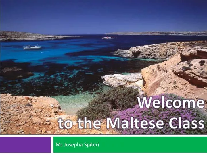 welcome to the maltese class