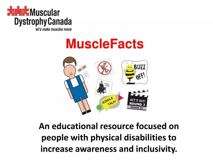 musclefacts