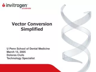 Vector Conversion Simplified