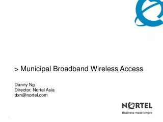 Municipal Broadband Wireless Access