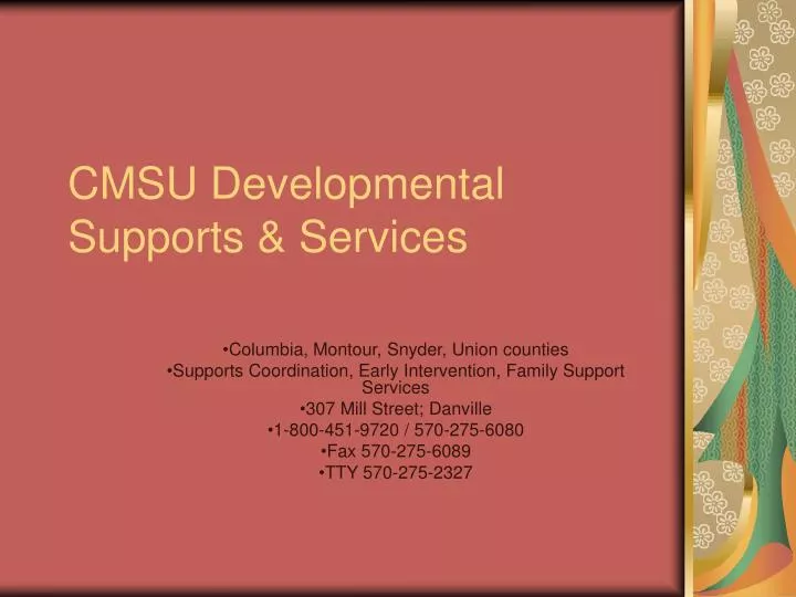 cmsu developmental supports services