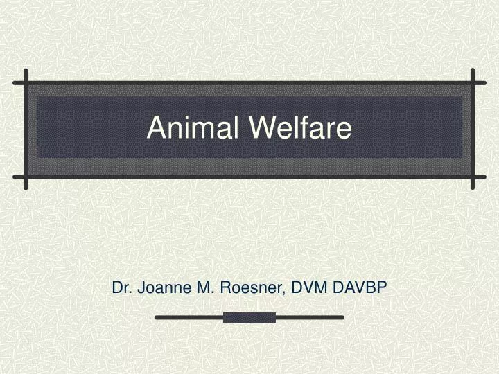 animal welfare