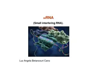 si RNA (Small interfering RNA). Luz Angela Betancourt Cano