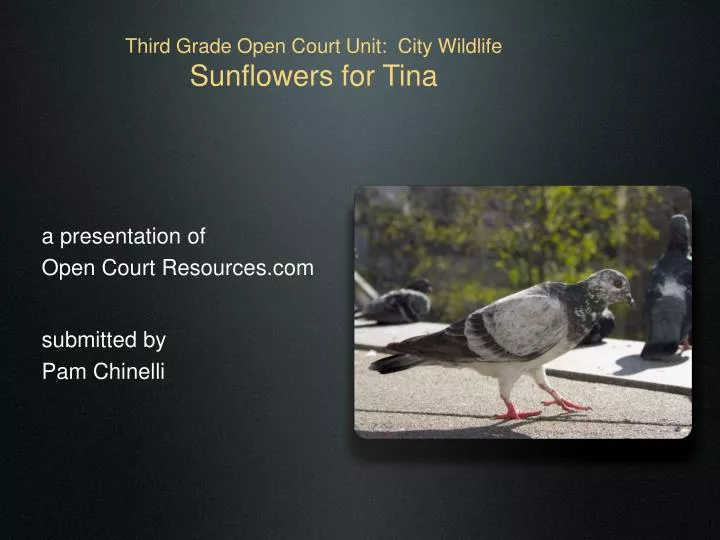third grade open court unit city wildlife sunflowers for tina