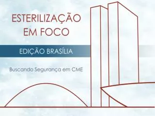 Limpeza de artigos médico-hospitalares: Fatores críticos para o sucesso do processo Silma Pinheiro Belo Horizonte - MG