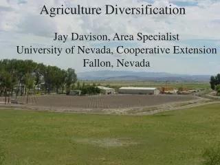 Agriculture Diversification
