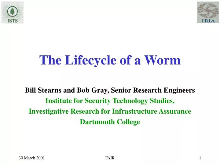 the lifecycle of a worm