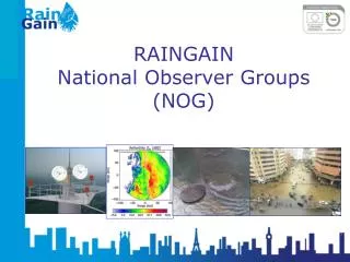 RAINGAIN National Observer Groups (NOG)