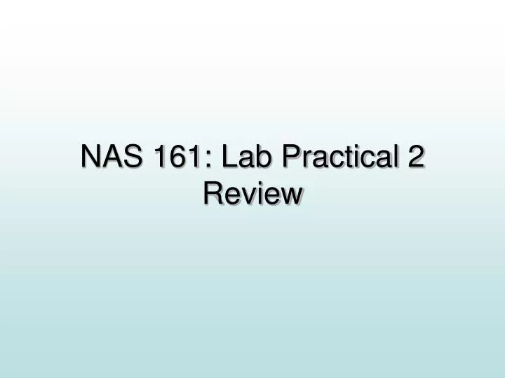 nas 161 lab practical 2 review