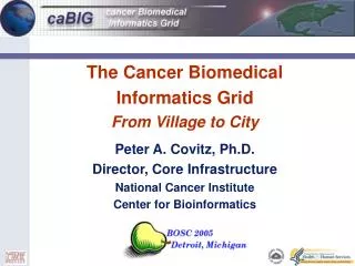 The Cancer Biomedical Informatics Grid From Village to City