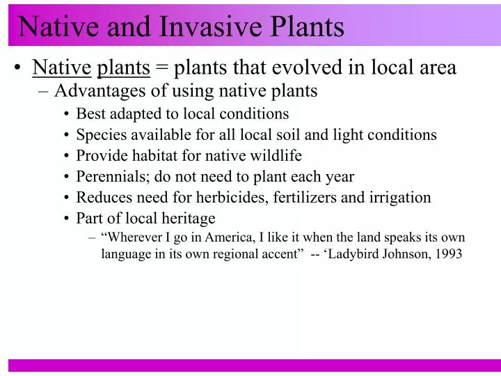 native and invasive plants