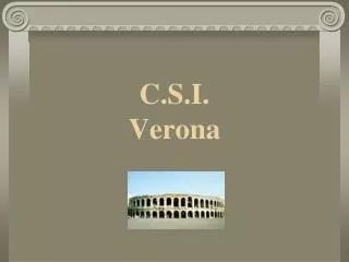 C.S.I. Verona