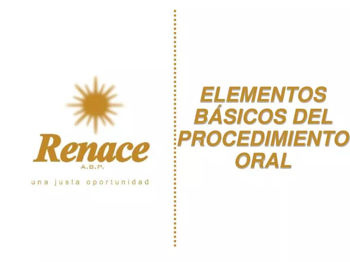 elementos b sicos del procedimiento oral
