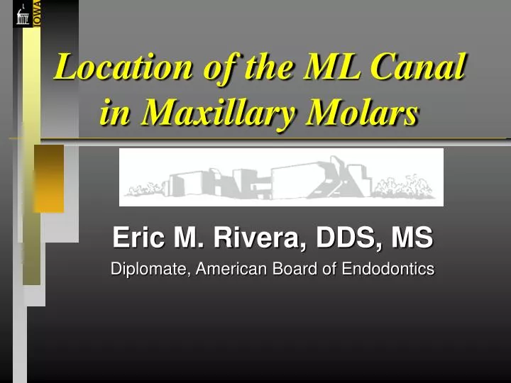 location of the ml canal in maxillary molars