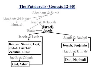 The Patriarchs (Genesis 12-50)