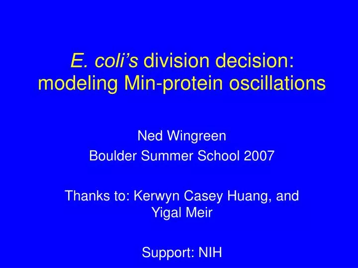 e coli s division decision modeling min protein oscillations