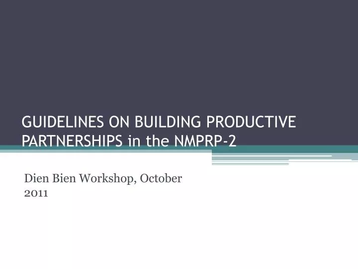 guidelines on building productive partnerships in the nmprp 2