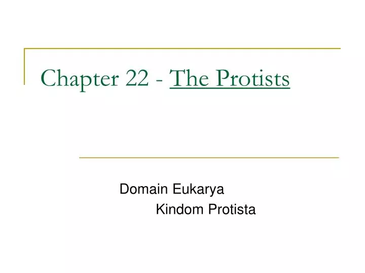 chapter 22 the protists