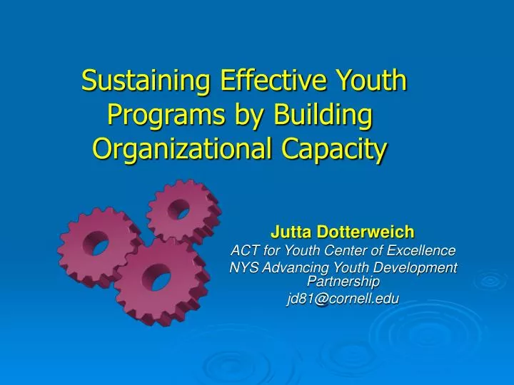 sustaining effective youth programs by building organizational capacity