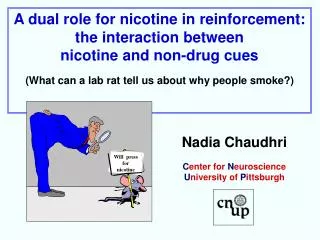 A dual role for nicotine in reinforcement: the interaction between nicotine and non-drug cues (What can a lab rat tell