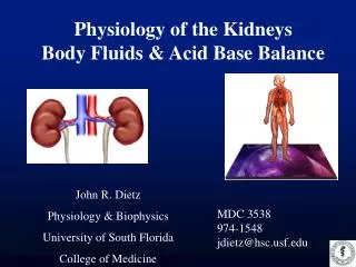 Physiology of the Kidneys Body Fluids &amp; Acid Base Balance
