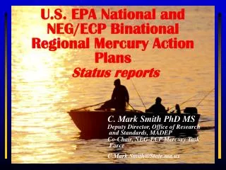 U.S. EPA National and NEG/ECP Binational Regional Mercury Action Plans Status reports
