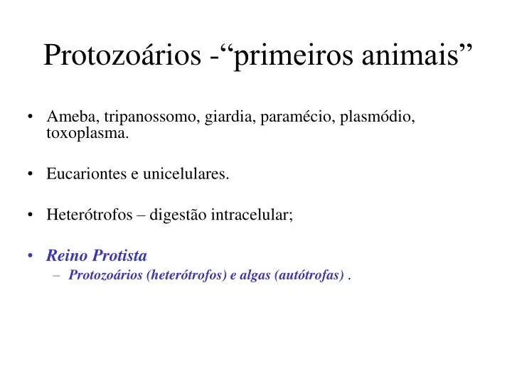 protozo rios primeiros animais