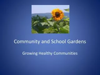 Community and School Gardens