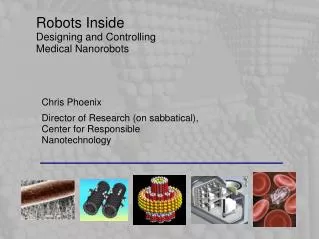 Robots Inside Designing and Controlling Medical Nanorobots