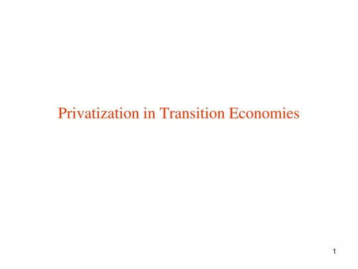 privatization in transition economies