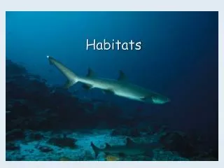 What is a habitat