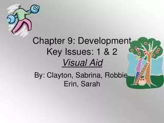 Chapter 9: Development Key Issues: 1 &amp; 2 Visual Aid