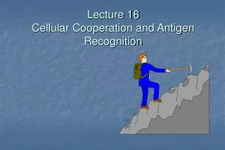 Lecture 16 Cellular Cooperation and Antigen Recognition