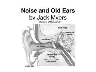 Noise and Old Ears by Jack Myers