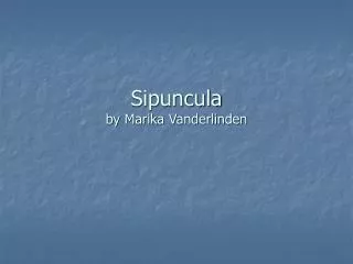 Sipuncula by Marika Vanderlinden